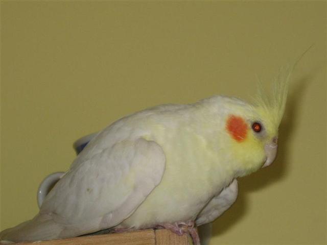 30.5.2006. 018.jpg